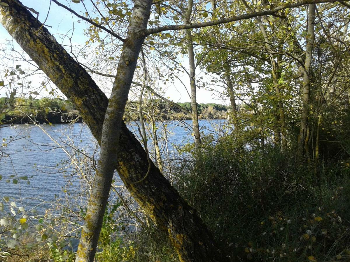 Pinar De Las Cabanuelas Villanueva de Duero Kültér fotó