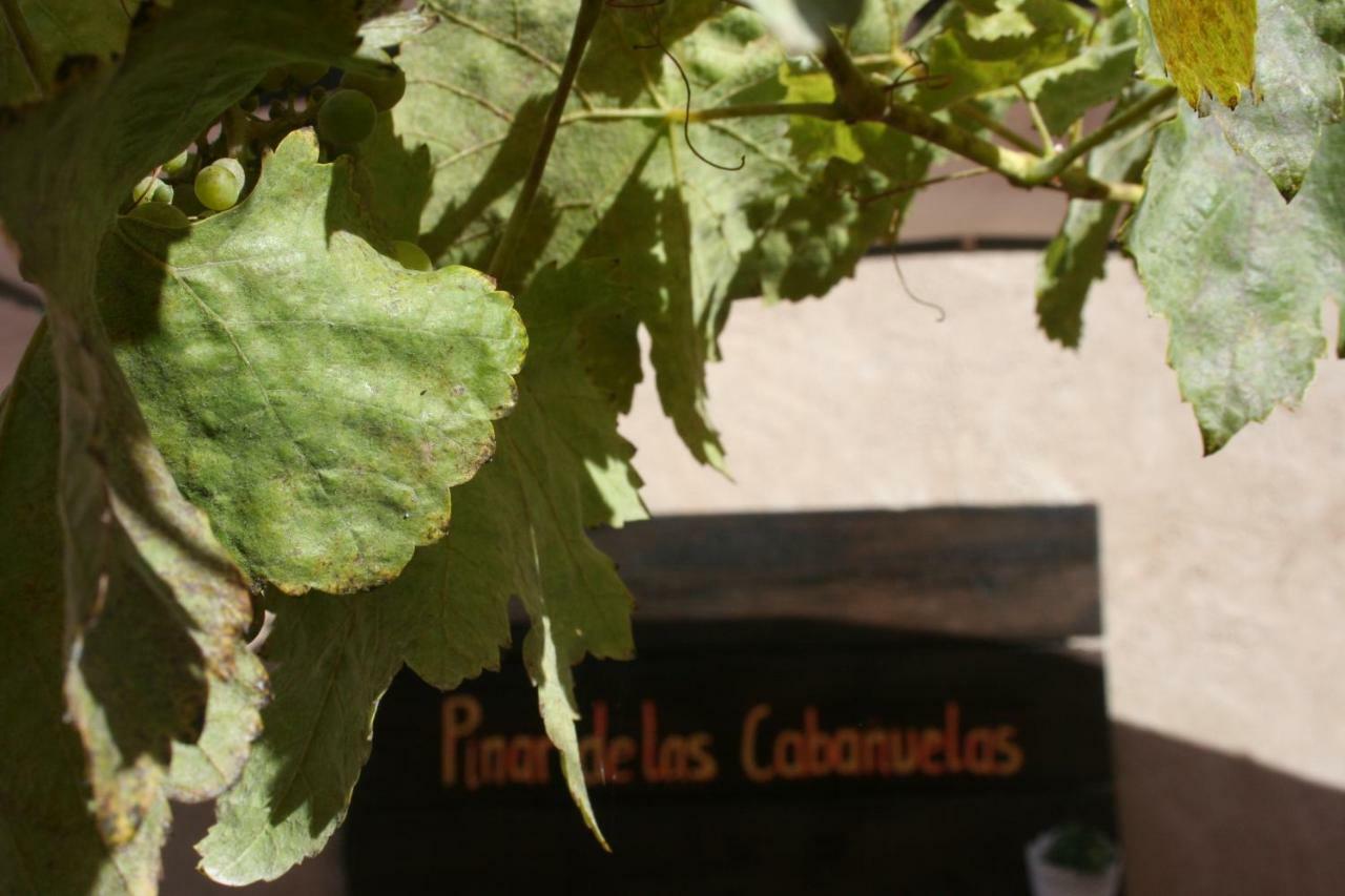 Pinar De Las Cabanuelas Villanueva de Duero Kültér fotó
